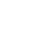 PDF图标