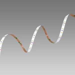 204LM/W 12V Flexible LED Strip Light with 80 LEDs