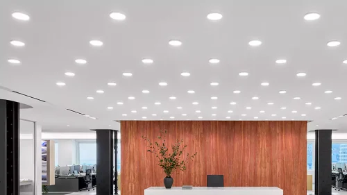 Polymath Design Architectural Firm