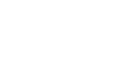CE White